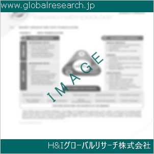 グローバルリサーチ調査資料のイメージ